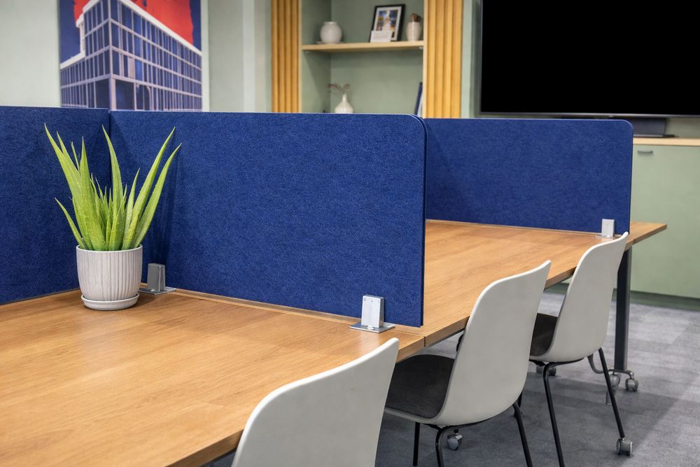 Navy felt desk screen dividing a wooden breakout desk beside a snake plant