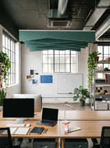 Crease felt ceiling baffles in Sage Green over desks in a studio office
