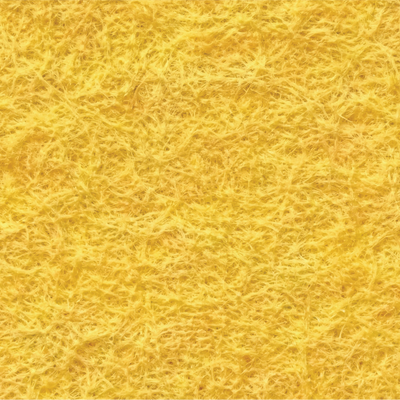 Golden Sunset