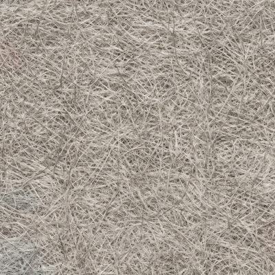 Blanched Almond