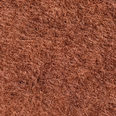 Cinnamon