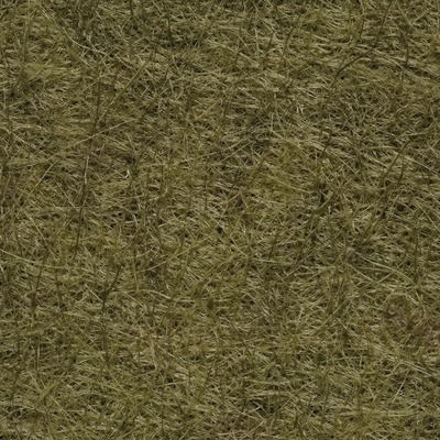 Woodland Moss