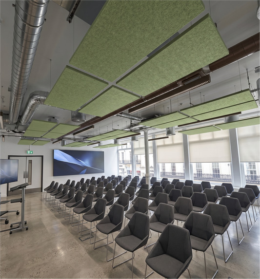Rows of tea green rectangular felt ceiling rafts hanging above a lecture hall